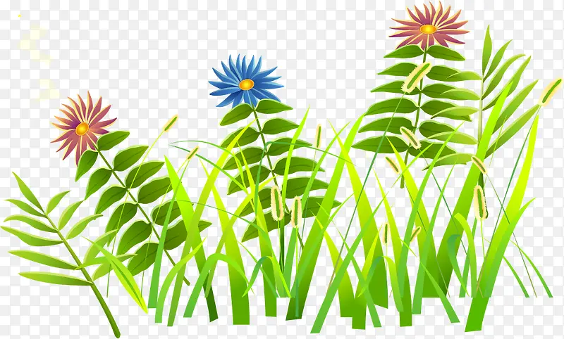 �ֻ��̲�-������