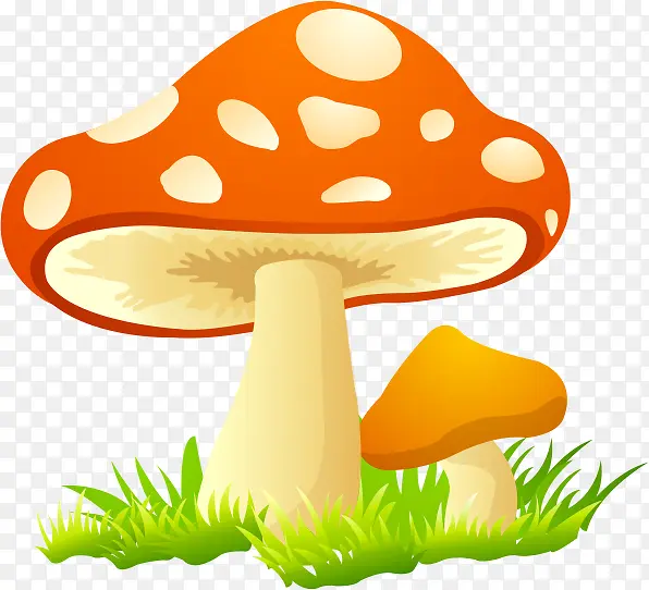 �ɰ�Ģ��-������