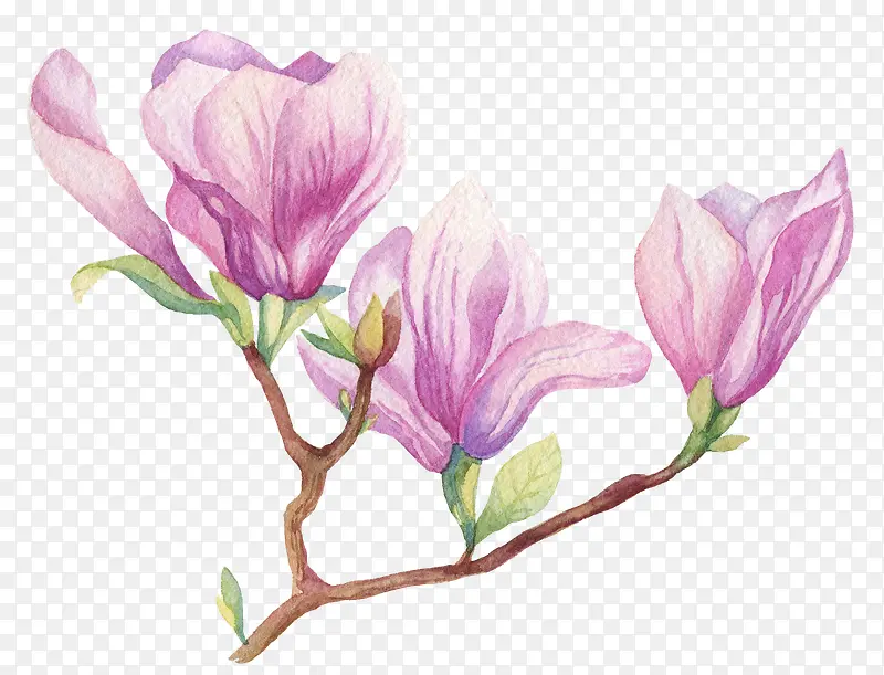 �ֻ���ɫ������-������