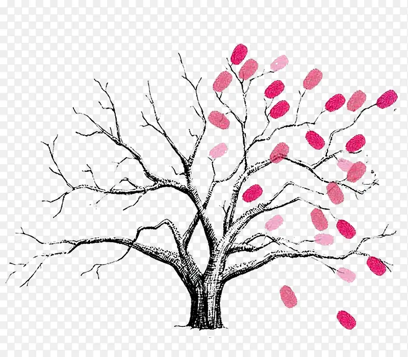 ǩ��������-������