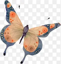 ����-������