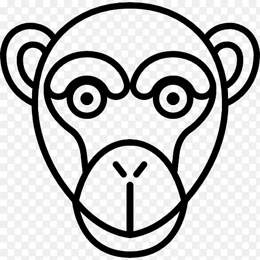 ����ͼ��-������