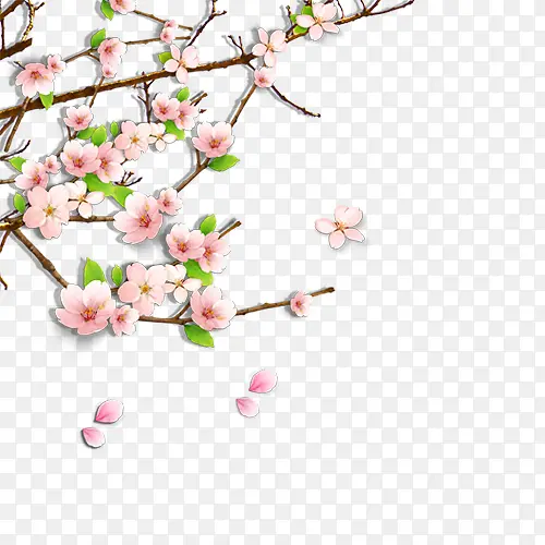 ÷����֦����-������