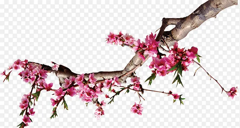 ÷��-������