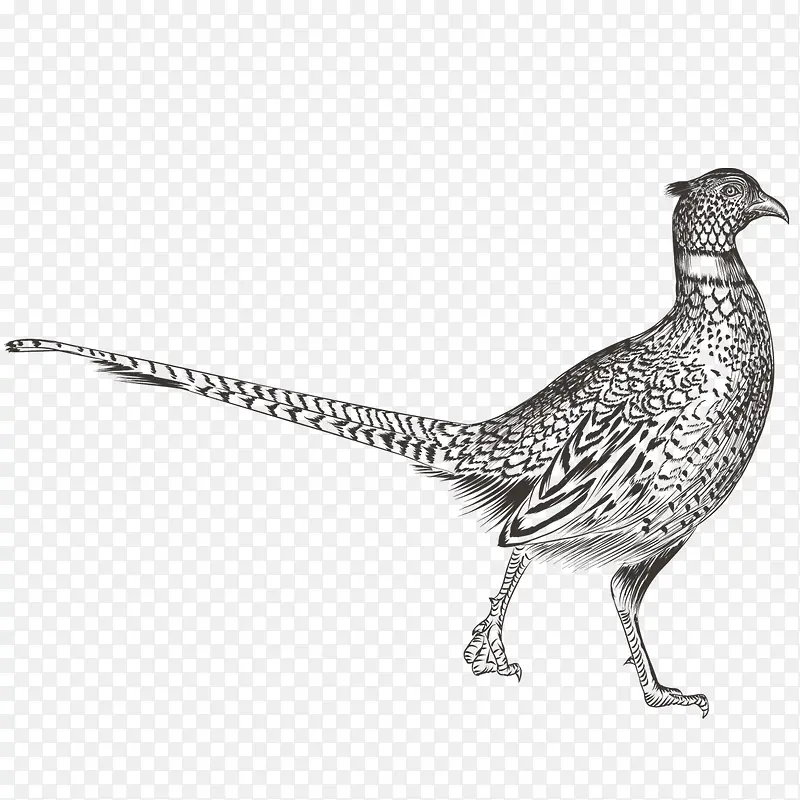 �ֻ涯��-������