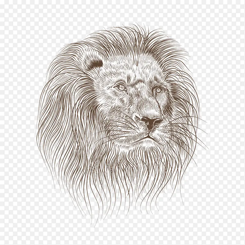 �ֻ涯��-������