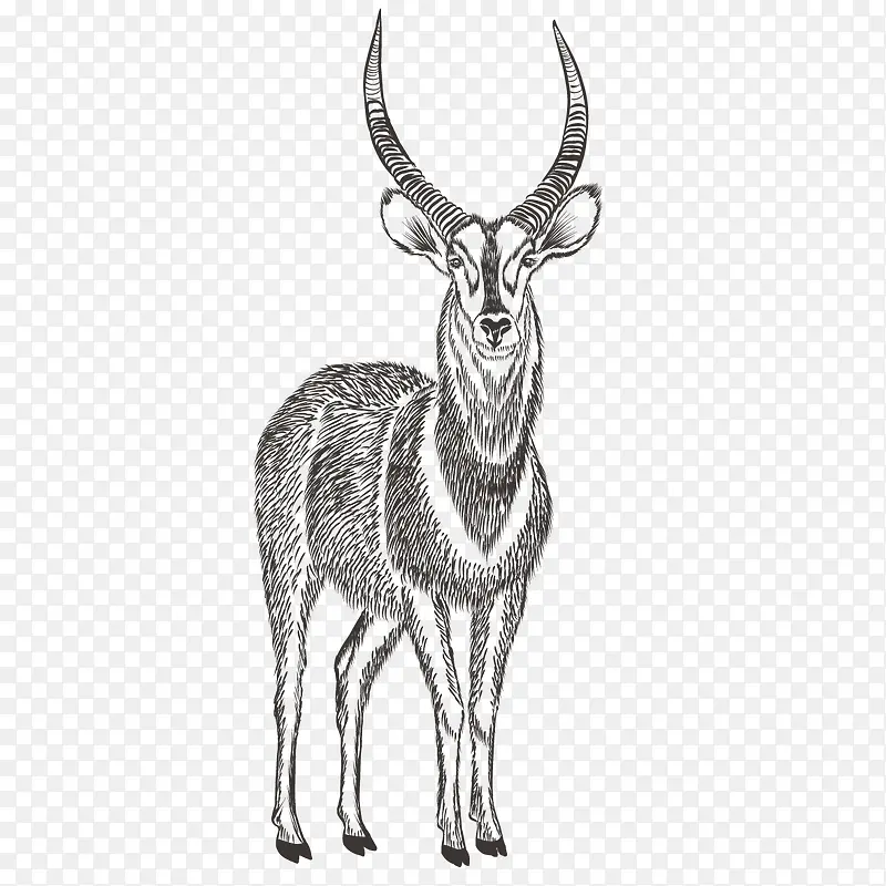 �ֻ涯��-������