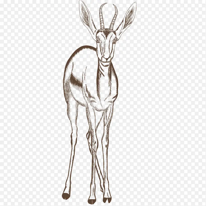 �ֻ涯��-������