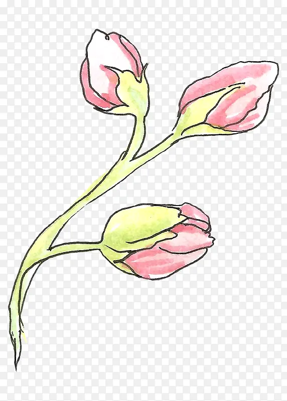 �ʻ�ֲ��-������