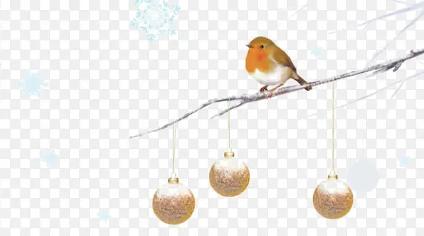 ��ͨ�ֻ�װ����֦С����������-������