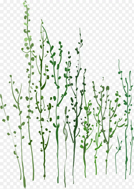 ��ɫҶ��ˮӡ�廭-������