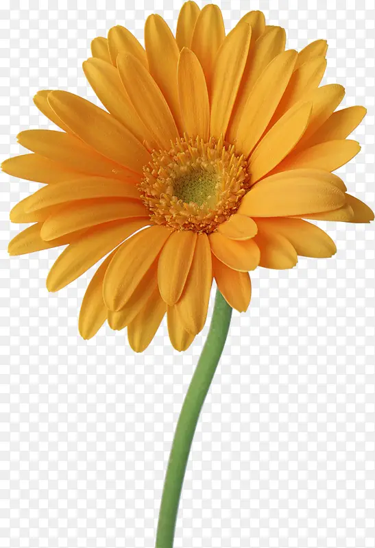 ���ܱ����ز�ֲ�ﻨ���ز� ���-������