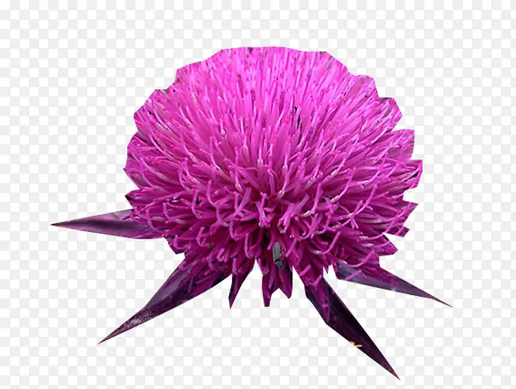 �̼��ݻ���ͼƬ�ز�-������