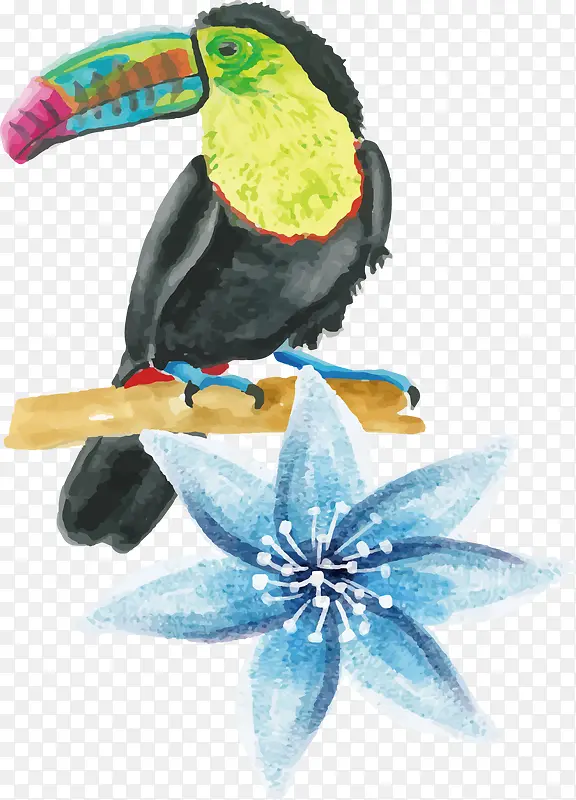 ��ɫˮ�ʴ�����-������