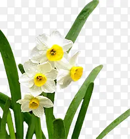 ������ˮ�ɻ������ز�-������