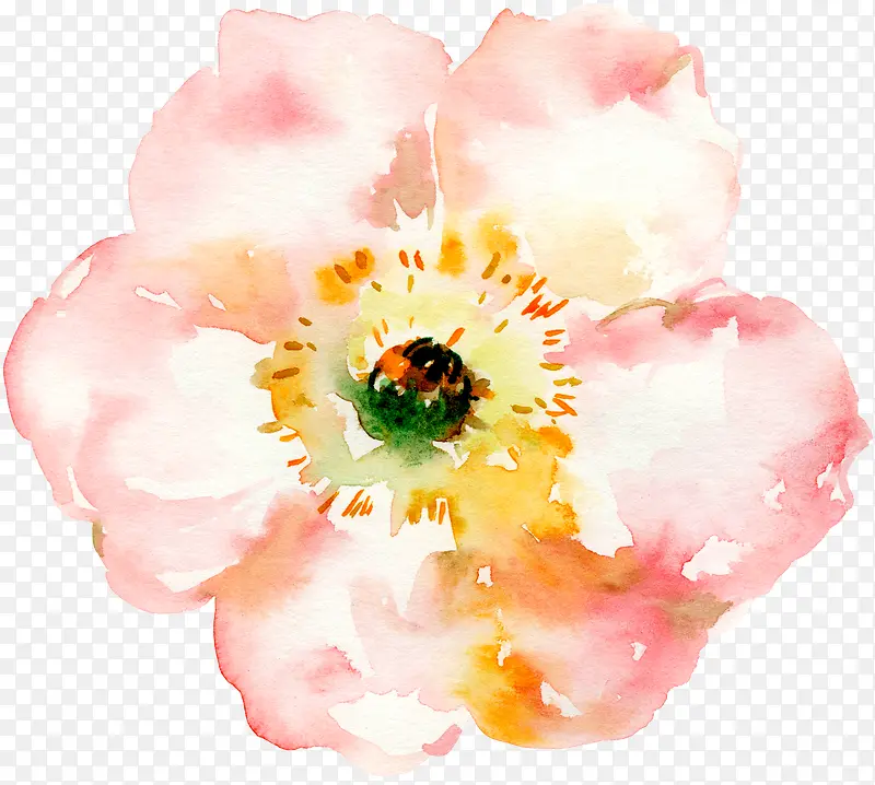 ��������ˮ������-������