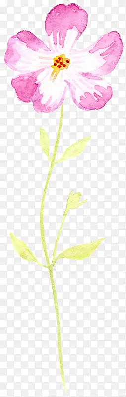 ˮ�ʵ����������-������