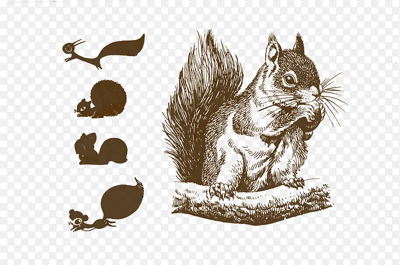 ����-������