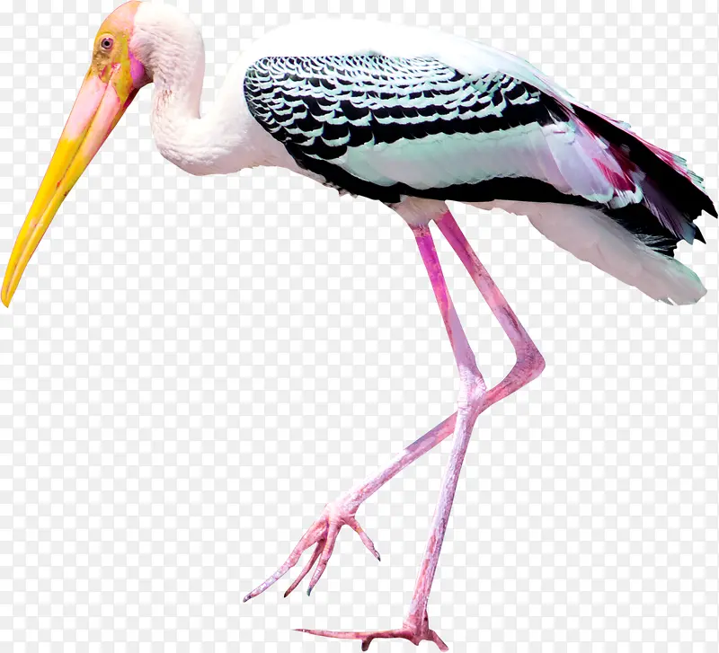 �����׶���-������