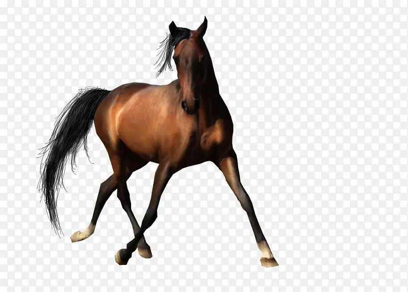 �ֻ��ز��ֻ� ����-������