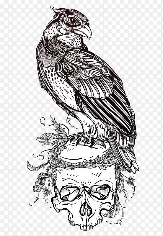 ��ӥ���ò廭ͼƬ-������