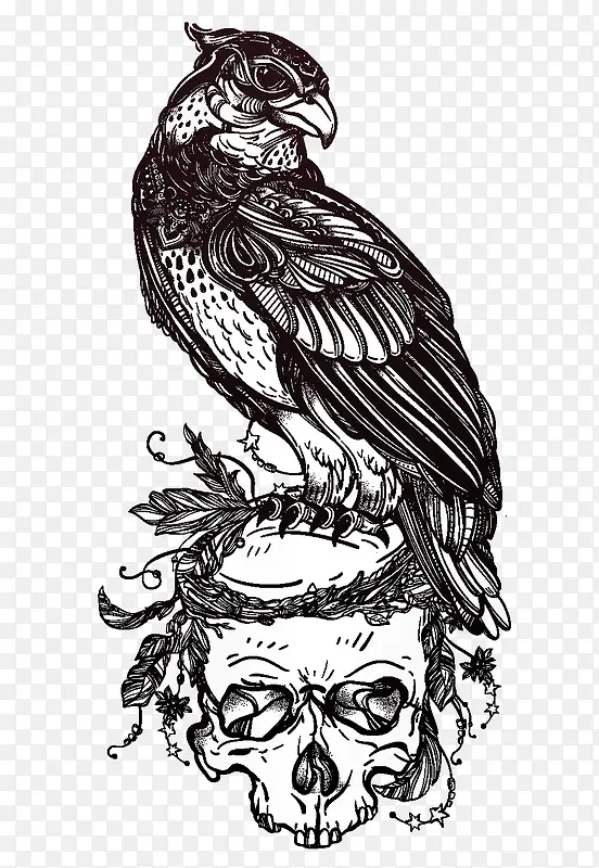 ��ӥ���ò廭-������