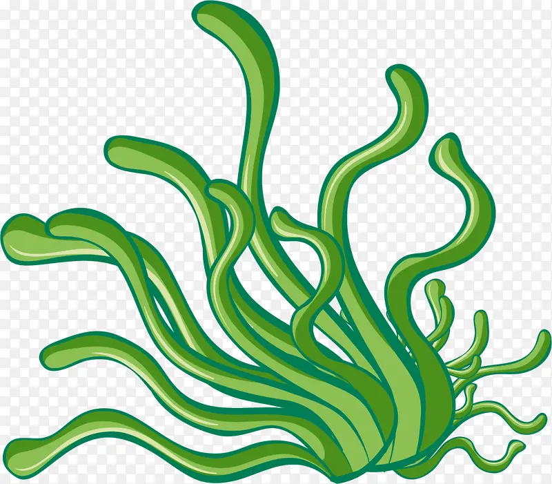 ���纣��������ĺ���-������