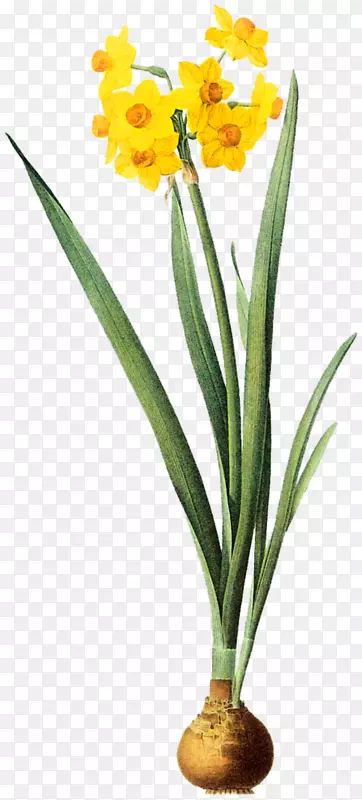 ˮ�ɻ�����ˮ��-ˮ��-������