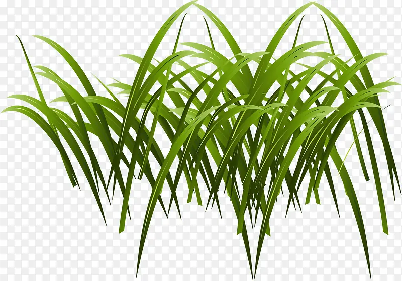 ��ͨ��ɫС��-������