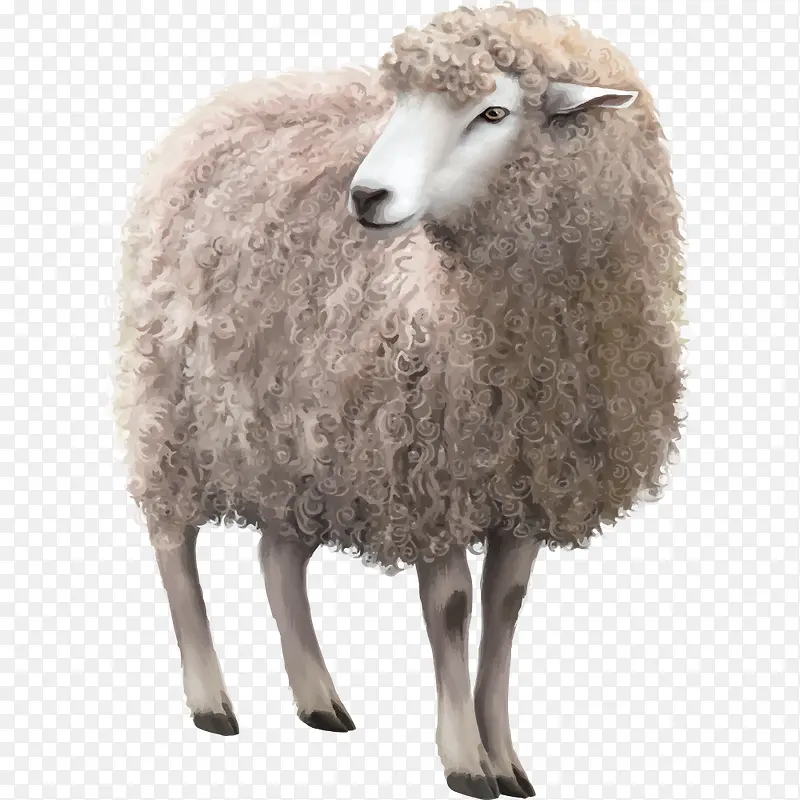 ʸ��С����-������