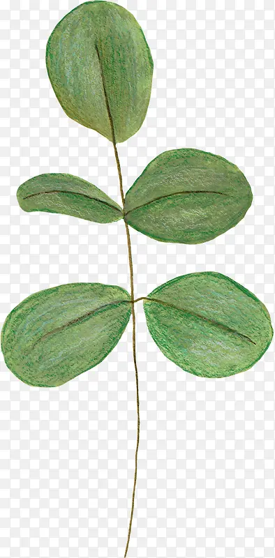 �ֻ���Ҷ-������