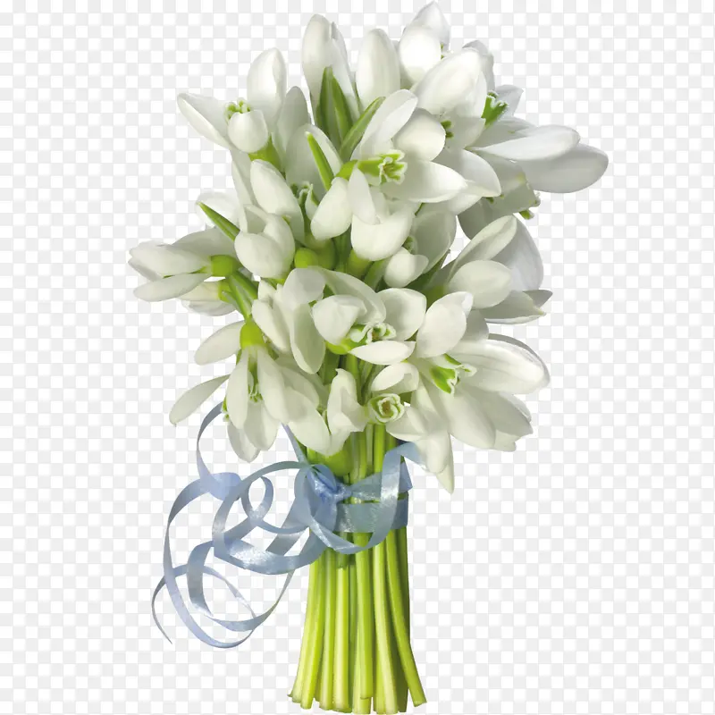 ��ɫ����-������