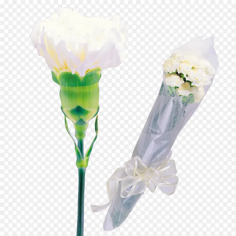 ��ɫ����ܰ-������