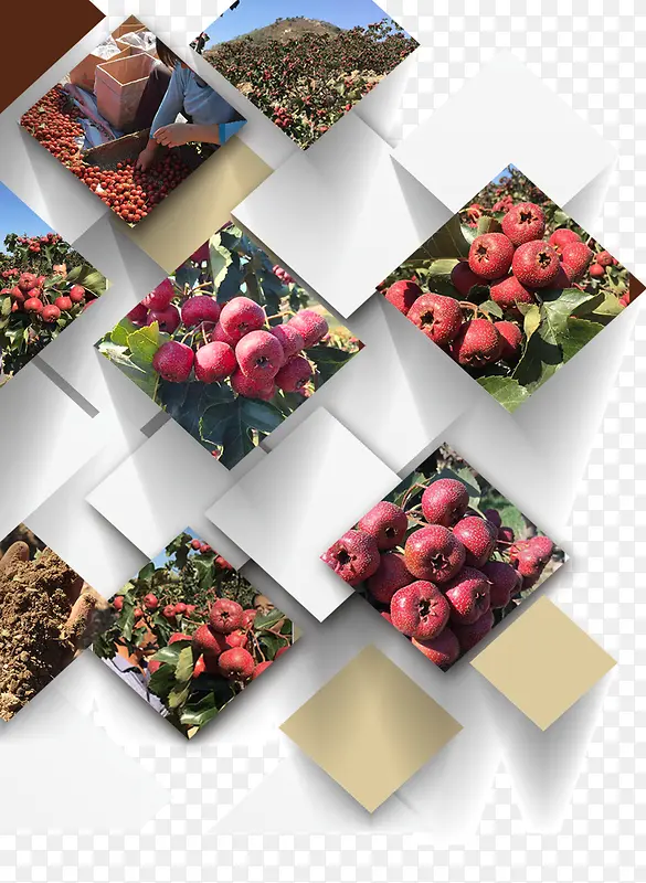 ˮ��-������