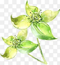 �̲�-������