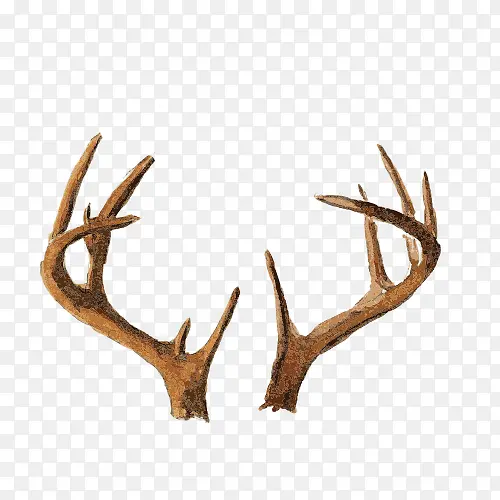 ��֦-������