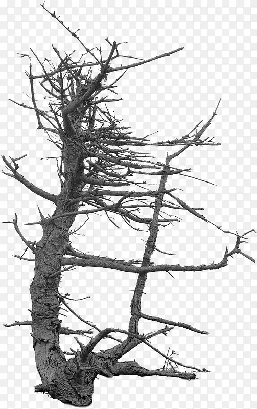 ��ľ��֦PNG�ز�07-������