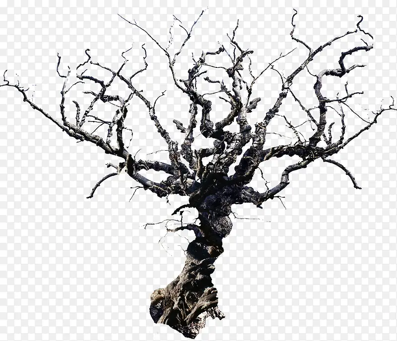 ��ľ��֦PNG�ز�03-������