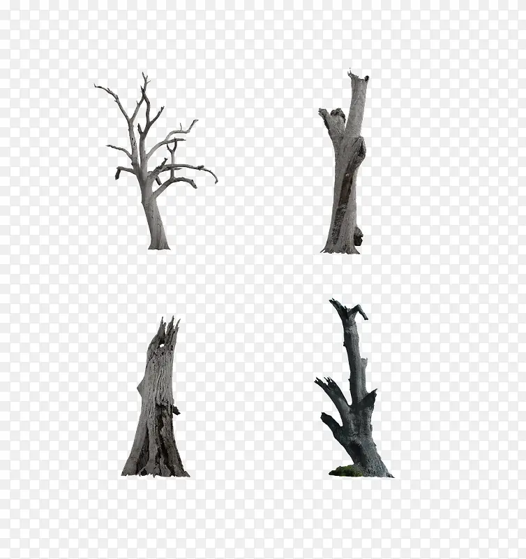 ��ľ-������