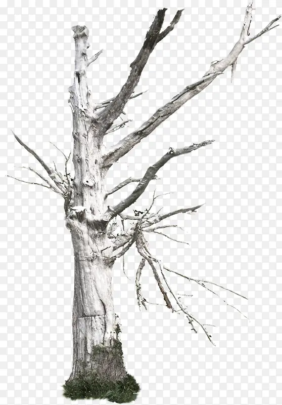 ��ľ��֦PNG�ز�01-������