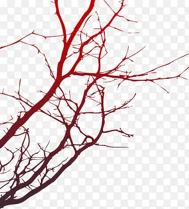 ��֦-������