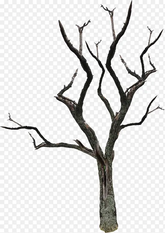 �����ز�-������