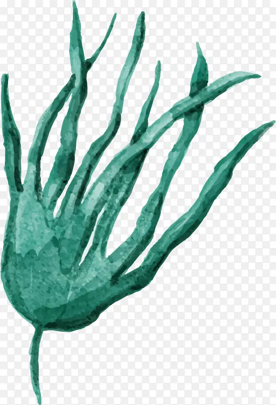 ���纣�����ֻ溣��-������