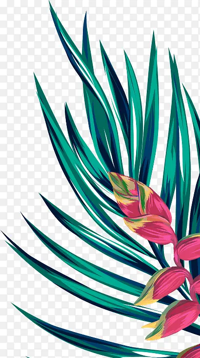 ˮ�ʻ�ֲ����Ҷ����-������