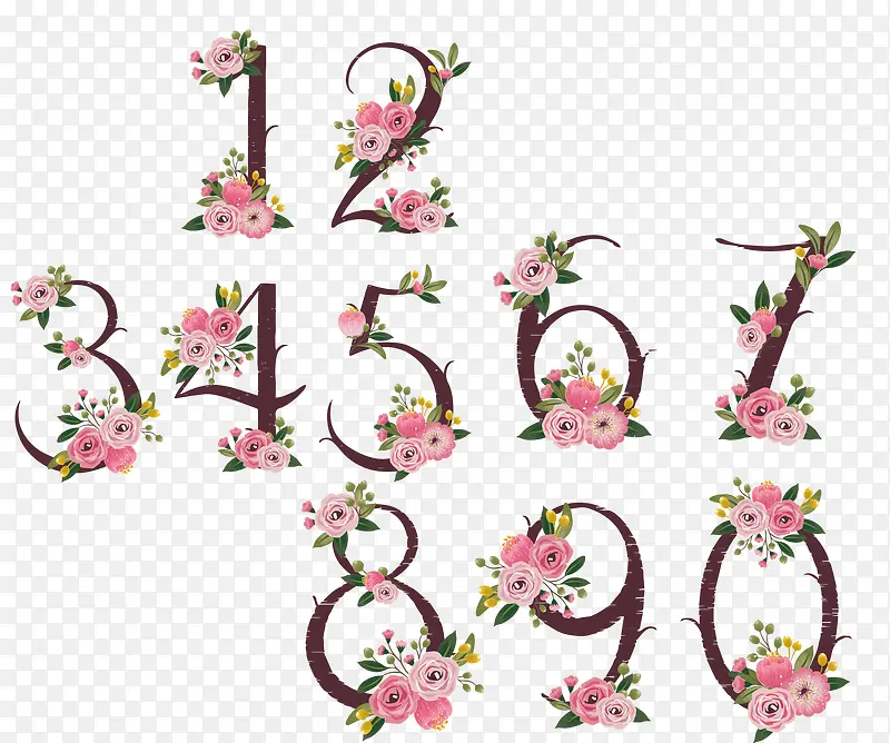 �ʻ�����-������