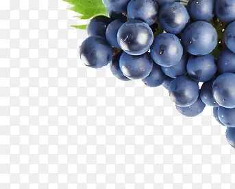 ˮ��-������