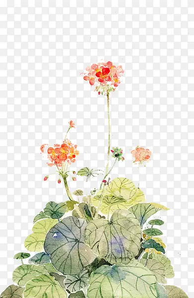 ˮ������Ψ������ͼ��-������