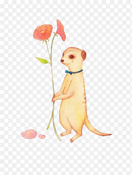 ����-������