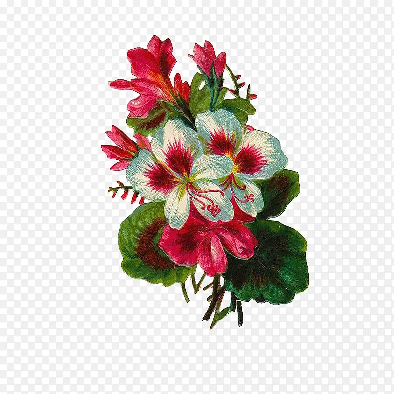 �ɲ廭��-������