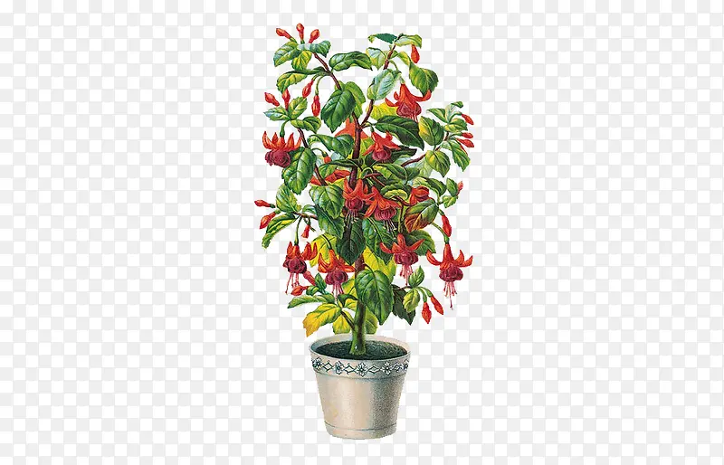 ��ժ�ͻ�-������